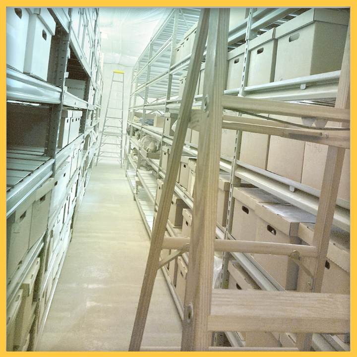 ENMU's curation facility, shelves lined with boxes and a ladder.
