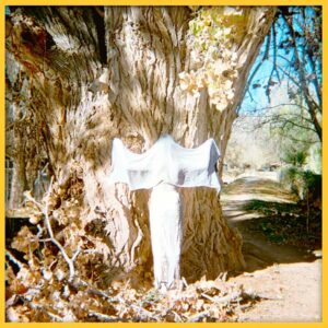 Photo of a woman dressed like a ghost holding both arms out in front of a large cottonwood tree