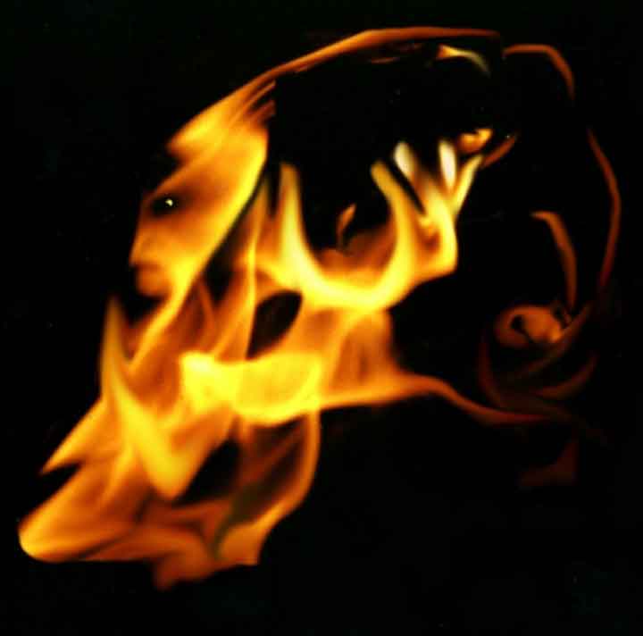 Photo of orange flames on a black background, parts of it almost resemble faces.