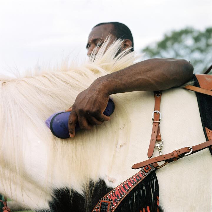 Close up photo of a man brushing a white and black horse's mane