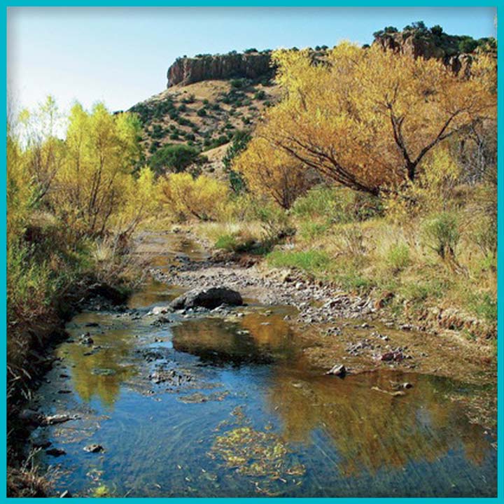 Autumn landscape photo with a stream running through, and a mesa in the background, the leaves on the trees are yellow