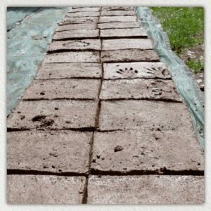 Photo of recently laid bricks with handprints impressed in them