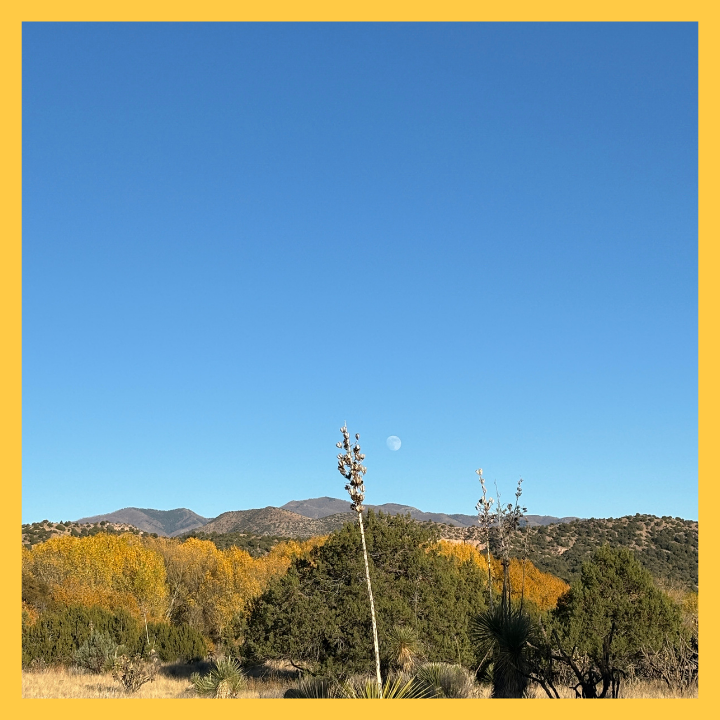 Moonrise over Mimbres Valley. Photo courtesy of Bethany Tabor.